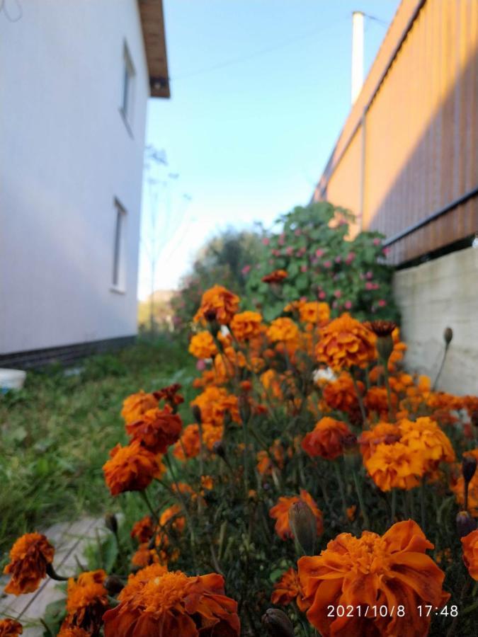 Pilipets Nestg Guest House מראה חיצוני תמונה