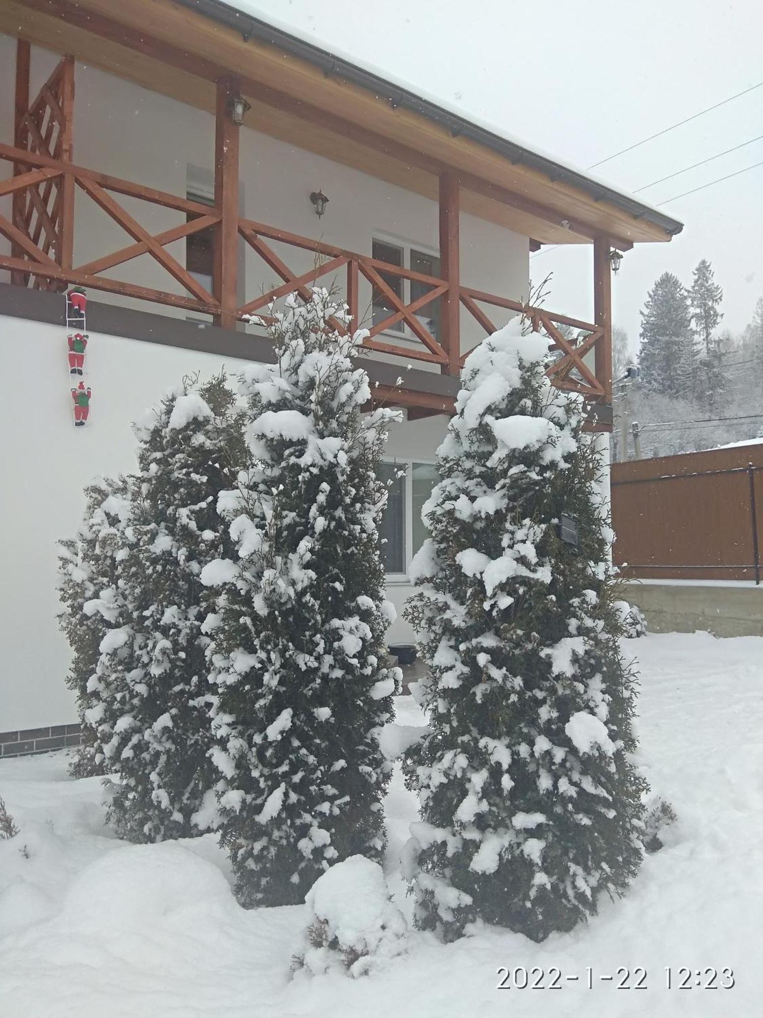 Pilipets Nestg Guest House מראה חיצוני תמונה